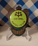 insigna VII ani - Batalionul 9 VM