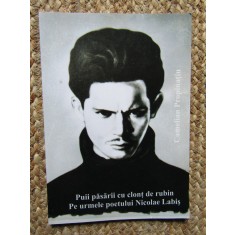 CAMELIAN PROPINATIU -PUII PASARII CU CLONT DE RUBIN