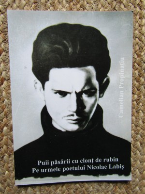 CAMELIAN PROPINATIU -PUII PASARII CU CLONT DE RUBIN foto