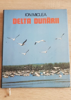 DELTA DUNĂRII - Ion Miclea foto