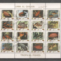 Umm al Qiwain 1973 Fishes, perf. mini sheetlet, used M.226