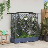 vidaXL Pat Ridicat cu Trellis și Acoperiș Gri 163 x 40 x 126 cm PP 42032558