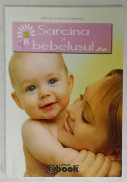 SARCINA SI BEBELUSUL , GHIDUL VIITOAREI MAMICI , 2011