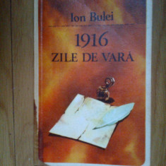 a3a Ion Bulei - 1916. Zile de vară