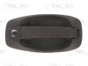 Maner usa CITROEN NEMO combi (2009 - 2016) BLIC 6010-07-043417P