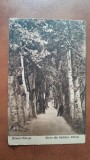 Carte postala, Ramnic-Valcea, Gradina Zavoiu, perioada interbelica