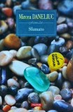 Sfumato - Mircea Daneliuc, Polirom, 2019, Roman, Beletristica, Fiction LTD, 206 pagini, limba romana