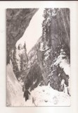 RF205 - Carte Postala - Muntii Bucegi. Cheile Orzei, circulata 1966