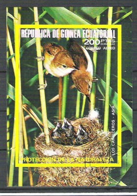 Eq. Guinea 1976 Asian birds, imperf. sheet, used M.009 foto