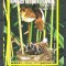 Eq. Guinea 1976 Asian birds, imperf. sheet, used M.009