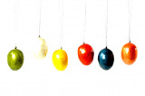 Set decorativ - Egg Bauhaus Color Mix | Kinta
