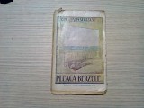 PLEACA BERZELE - Ion Minulescu - 1921, 88 p.; coperta originala, Alta editura