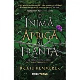O inima apriga si franta. Seria Distrugatorii de blesteme, Vol. 2, Brigid Kemmerer