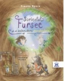 Soricelul Fursec si o intamplare neasteptata - Simona Epure