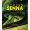 Ayrton Senna - A Formula-1 halhatatlan legend&aacute;ja - Bruce Jones