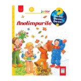Anotimpurile - colectia De ce? De ce? De ce?, Constanza Droop, Editura Casa