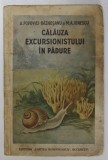 CALAUZA EXCURSIONISTULUI IN PADURE de A. POPOVICI - BAZNOSANU , M.A. IONESCU , 1937