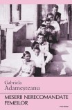 Meserii nerecomandate femeilor - Paperback brosat - Gabriela Adameșteanu - Polirom