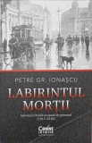 LABIRINTUL MORTII. SPIONAJ IN BRAILA OCUPATA DE GERMANI (1917-1918)-PETRE GR. IONASCU-247146