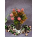 Planta decorativa cu flori roz