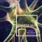 Synaptic Self: How Our Brains Become Who We Are