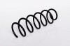 Arc Suspensie Spate 65863 SR.028