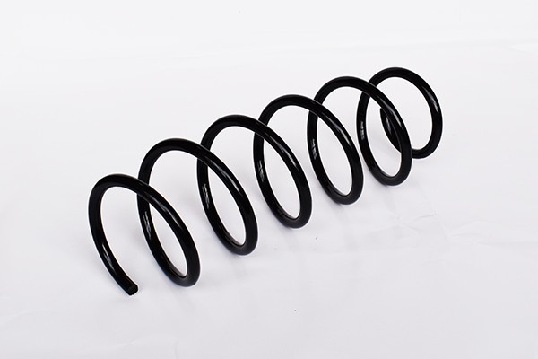 Arc Suspensie Spate 65863 SR.028