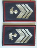 C1 12 - Grade militare - straine - piesa de colectie!
