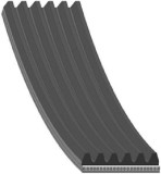 Febi Bilstein Curea transmisie cu caneluri