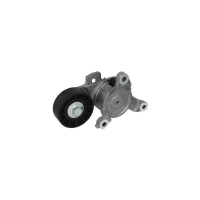 Intinzator curea CITROEN C5 III Break TD DAYCO APV2712 foto
