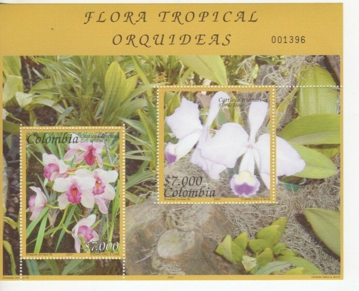 COLUMBIA 2003 FLORI ORHIDEE