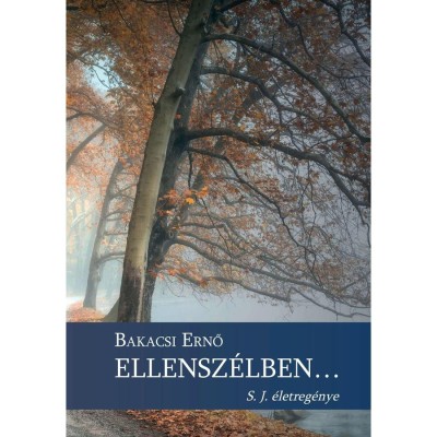 Ellensz&amp;eacute;lben - Bakacsi Ernő foto