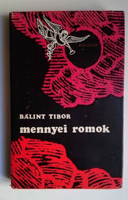 Mennyei romok / Ruine ceresti - Balint Tibor Tarcak, karcolatok, novellak foto