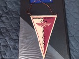 fanion AS CFR Pascani
