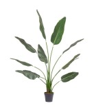 Cumpara ieftin Planta Sterlizia artificiala in ghiveci 180h