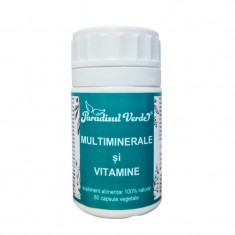 Multiminerale si Vitamine 60 capsule Paradisul Verde