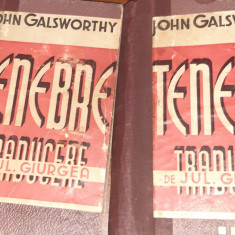 TENEBRE JOHN GALSWORTHY (editie veche) 2 VOLUME