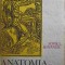 ANATOMIA UMANA. IDEI, FAPTE, EVOLUTII-MIHAI IONESCU-221222