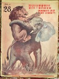 UNIVERSUL COPIILOR, Nr.28/ 3 iulie 1935