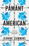 Cumpara ieftin Pamant american