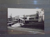 ELVETIA - ZURICH - FACULTATEA DE MEDICINA VETERINARA A UNIVERSITATII -