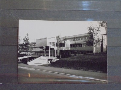 ELVETIA - ZURICH - FACULTATEA DE MEDICINA VETERINARA A UNIVERSITATII - foto