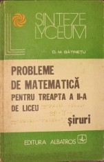 PROBLEME DE MATEMATICA PENTRU TREAPTA A II-A DE LICEU. SIRURI-D.M. BATINETU-218986 foto