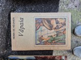 Vapaia vintage