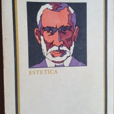 Estetica- Simion Barnutiu