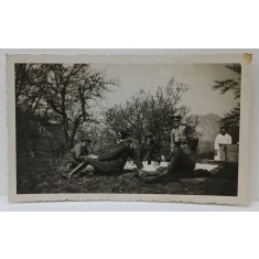 OFITERI ROMANIA LA PICNIC , ZONA MONATANA , FOTOGRAFIE FORMAT CARTE POSTALA , PERIOADA INTERBELICA