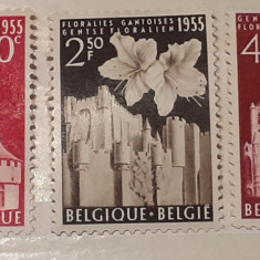 Belgia 1955 flori plante arhitectura cladiri serie 3v neuzata cu sarniera