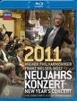 VARIOUS COMPOSERS NEW YEARS DAY CONCERT 2011 (Blu ray) foto