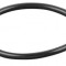 REMS O-ring 060011