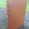 Sic Cogito de Bogdan P. Hasdeu an 1895 ed.LUX princeps
